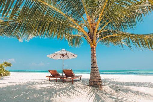 Gorgeous Beachy Chic Condo In Key Biscayne 迈阿密 外观 照片